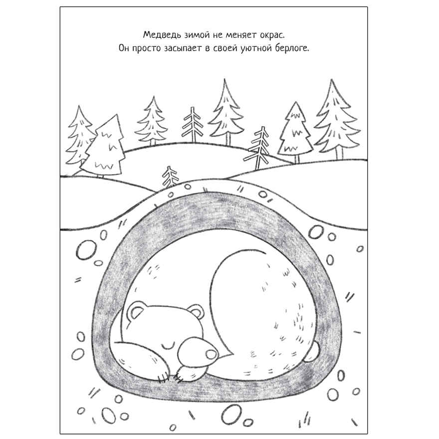 Познавательные раскраски набор из 4 книг, производитель МОЗАИКА kids , ISBN 978-5-43152-588-9, № 3