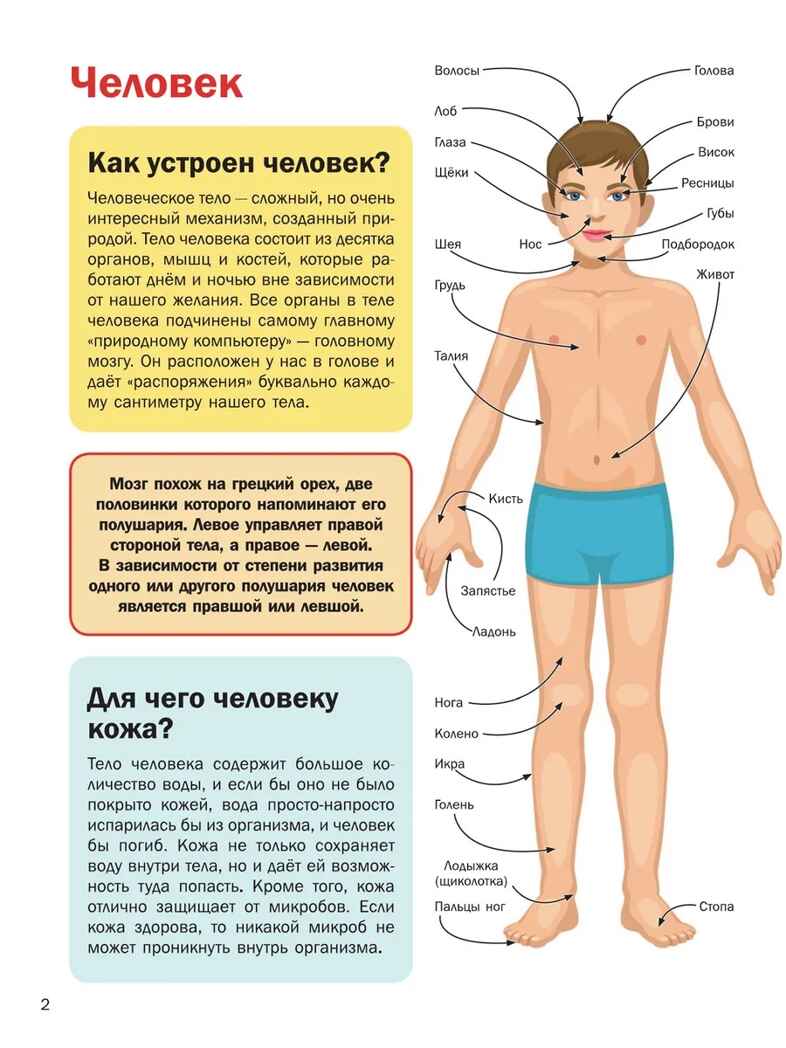 5000 &quot;что, зачем, почему&quot; в картинках, которые можно рассматривать целый год. Полная энциклопедия в картинках для малышей, производитель АСТ , ISBN 978-5-17121-115-8, № 13
