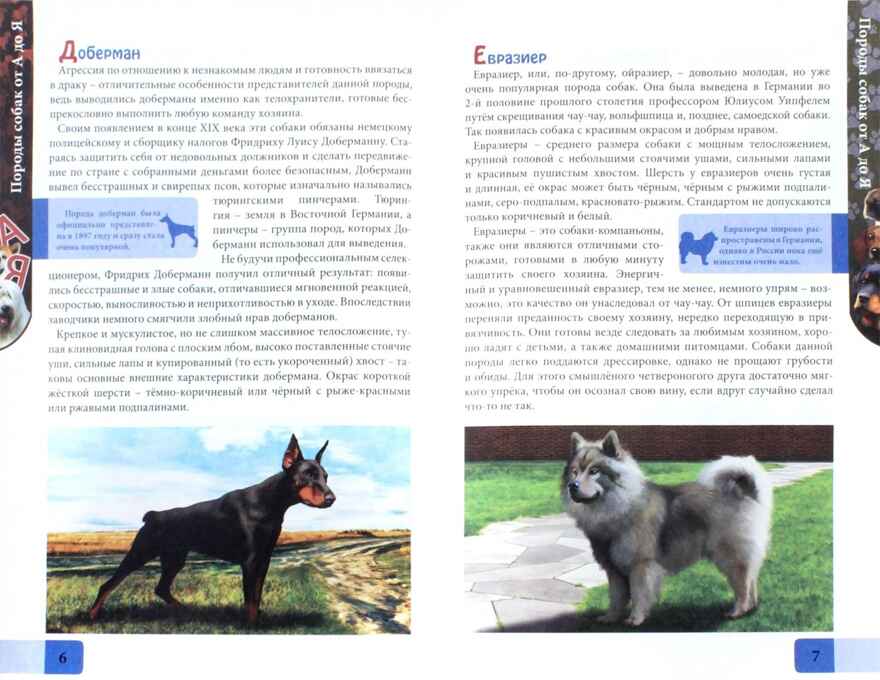 Энциклопедия. В мире знаний. Породы собак от А до Я., производитель Проф-Пресс , ISBN 978-5-37827-605-9, № 3