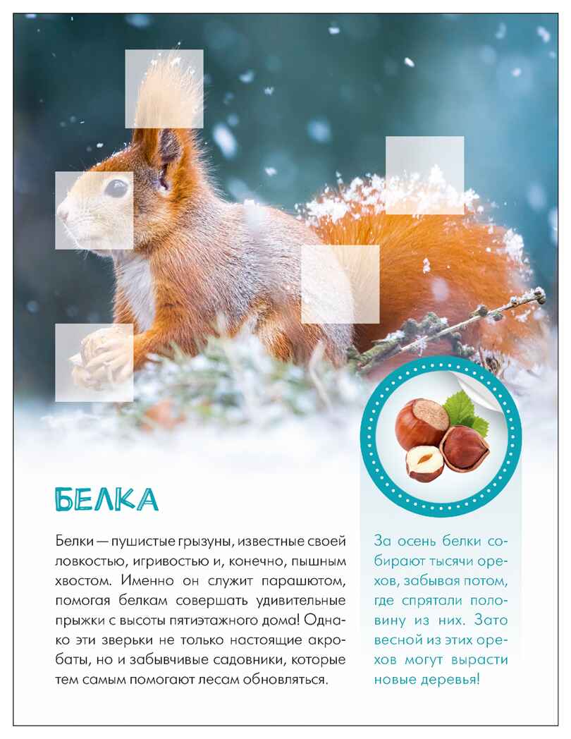 Кто живёт в лесу? (Мир животных с наклейками), книги с наклейками, производитель МОЗАИКА kids , ISBN 978-5-43154-554-2, № 4