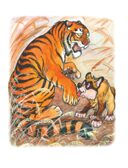 Маугли. Сказки. Киплинг Р.Д. Самые лучшие сказки, производитель АСТ , ISBN 978-5-17100-763-8, № 3