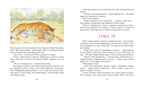 Парящий тигр, производитель Махаон , ISBN 978-5-38920-284-9, № 7
