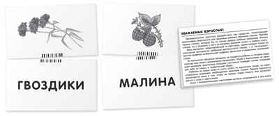 ОГ.Собака. Читаем по слогам. Набор карточек., производитель Айрис-пресс , ISBN 462-7-17636-733-9№ 4
