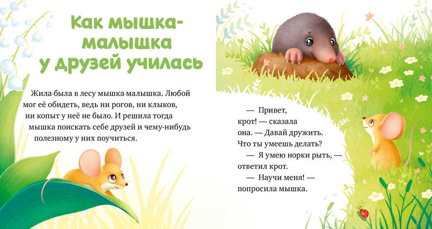 Любознательный малыш. Зверята в лесу (Е. Ульева)/Ульева Е., производитель Клевер (Clever) , ISBN 978-5-00211-245-6, № 2