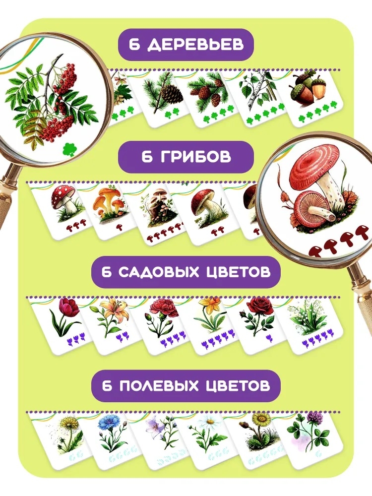 Домино логопедическое Растения Ассоциации, арт. С-174, производитель Малыш и К, ISBN 460-7-02050-063-1, № 6