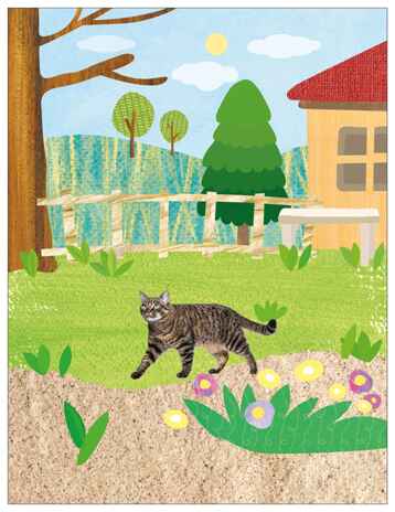 В деревне (Фотонаклейки), книжка с наклейками, производитель МОЗАИКА kids , ISBN 978-5-43154-566-5№ 2