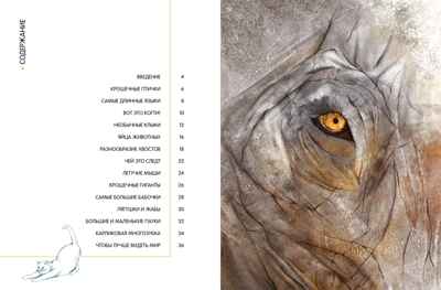 Самые удивительные животные в натуральную величину, производитель Махаон , ISBN 978-5-38924-841-0№ 2