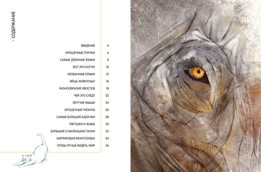Самые удивительные животные в натуральную величину, производитель Махаон , ISBN 978-5-38924-841-0, № 2