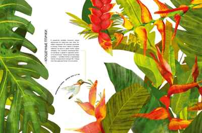 Самые удивительные животные в натуральную величину, производитель Махаон , ISBN 978-5-38924-841-0№ 3