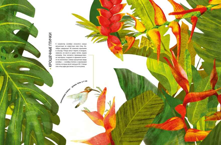 Самые удивительные животные в натуральную величину, производитель Махаон , ISBN 978-5-38924-841-0, № 3