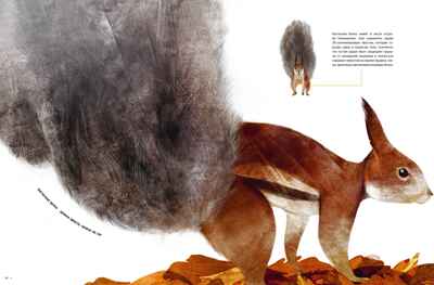 Самые удивительные животные в натуральную величину, производитель Махаон , ISBN 978-5-38924-841-0№ 6