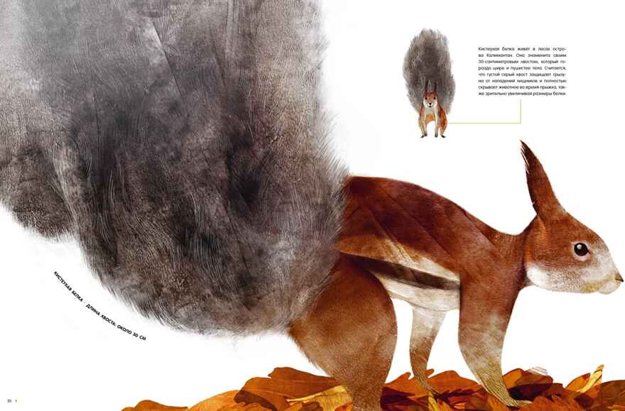 Самые удивительные животные в натуральную величину, производитель Махаон , ISBN 978-5-38924-841-0, № 6