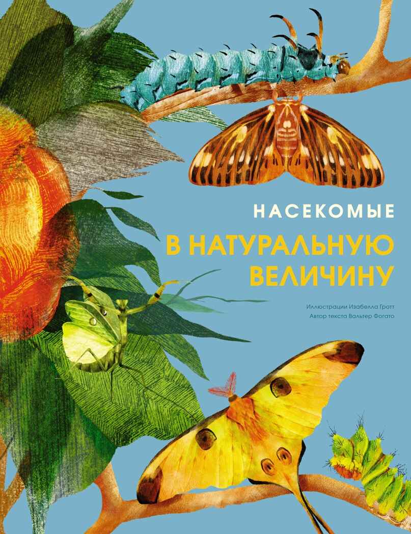 Насекомые в натуральную величину, производитель Махаон , ISBN 978-5-38923-352-2, № 1