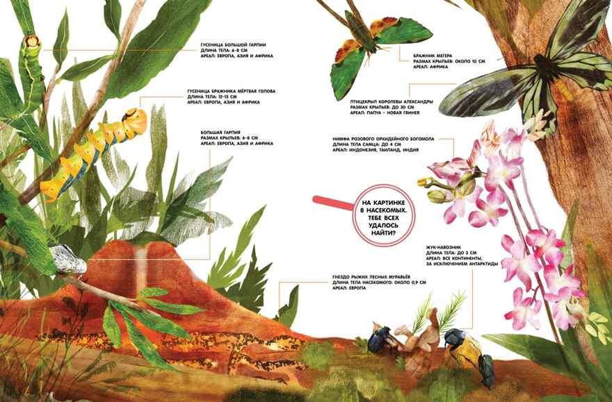 Насекомые в натуральную величину, производитель Махаон , ISBN 978-5-38923-352-2, № 3