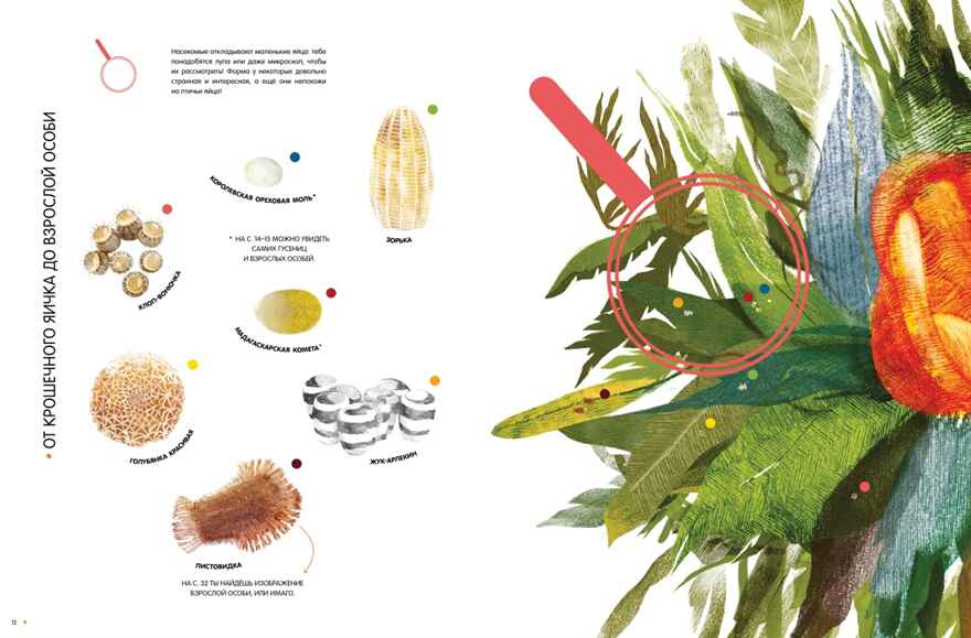 Насекомые в натуральную величину, производитель Махаон , ISBN 978-5-38923-352-2, № 5