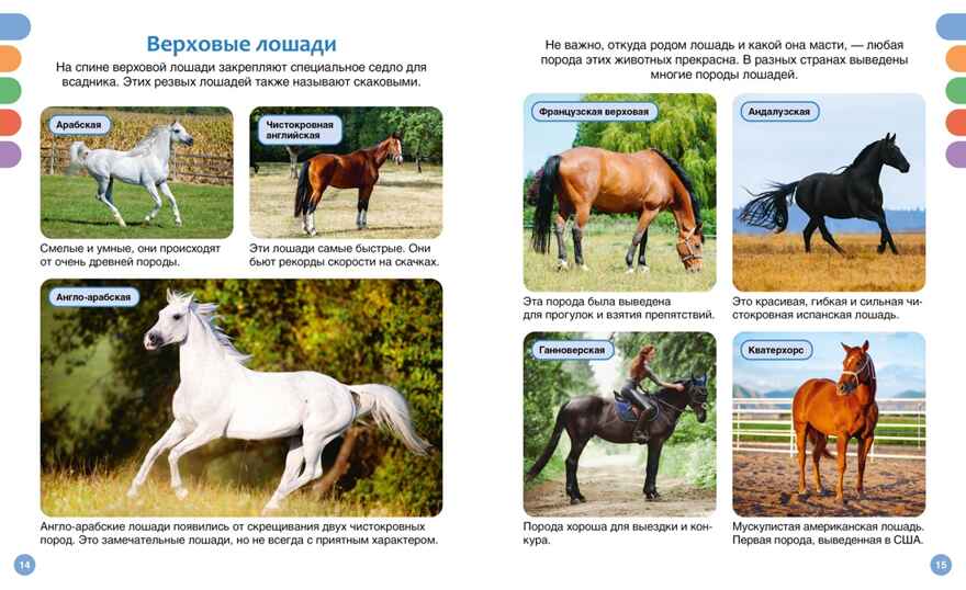 Лошади, производитель Махаон , ISBN 978-5-38930-436-9, № 4