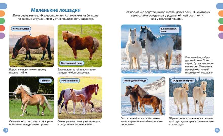 Лошади, производитель Махаон , ISBN 978-5-38930-436-9, № 5