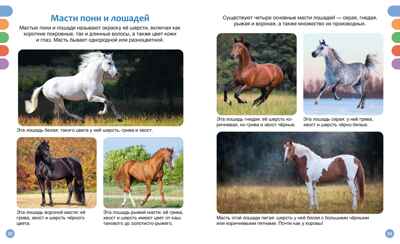 Лошади, производитель Махаон , ISBN 978-5-38930-436-9№ 6