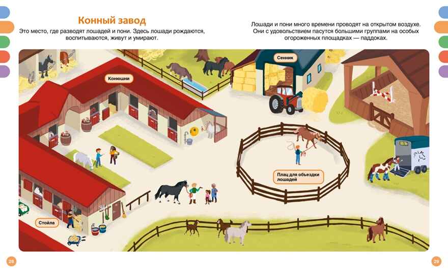 Лошади, производитель Махаон , ISBN 978-5-38930-436-9, № 7