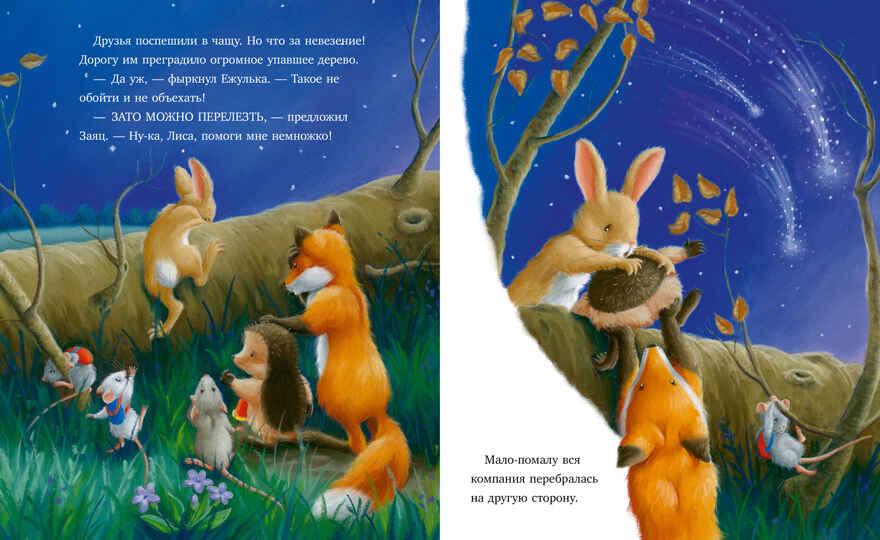 Приключения Ежульки. Самая звёздная ночь Батлер М., производитель Клевер (Clever) , ISBN 978-5-00211-996-7, № 2