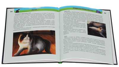 Энциклопедия. Хочу знать. Кошки, производитель Проф-Пресс , ISBN 978-5-37824-243-6№ 2