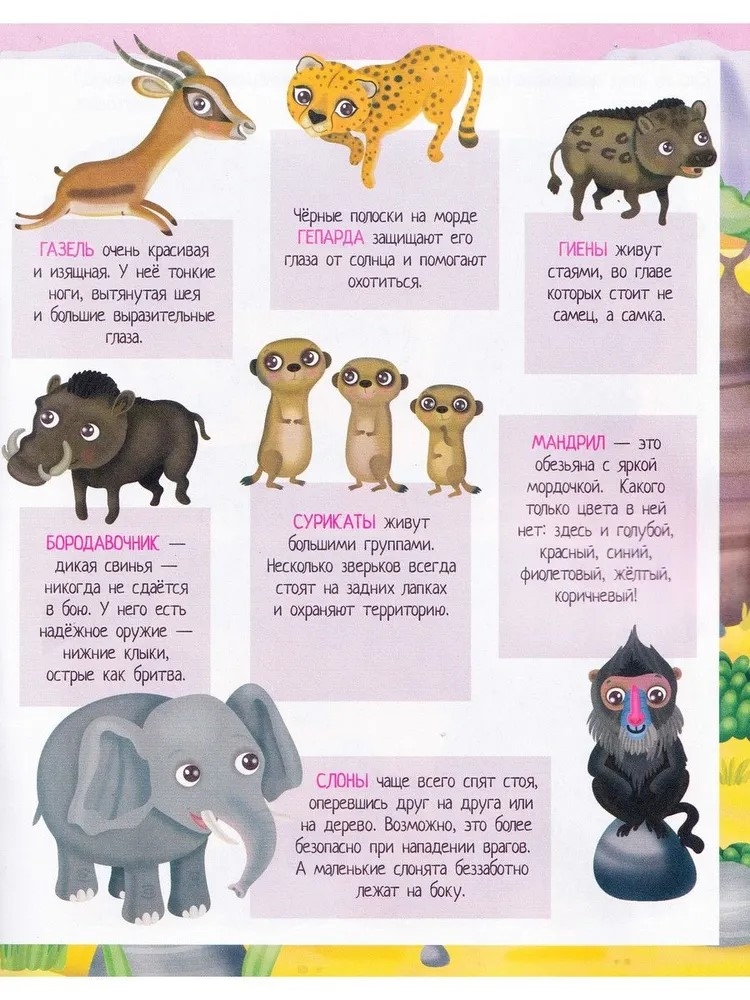 Книжка с наклейками формат А4. Приключения в жаркой саванне. 50 наклеек \ Барсотти Э., производитель Айрис-пресс , ISBN 978-5-81128-746-8, № 3