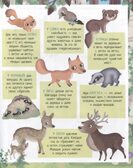 Книжка с наклейками формат А4. Приключения в зеленом лесу. 50 наклеек. \ Барсотти Э., производитель Айрис-пресс , ISBN 978-5-81128-743-7, № 2