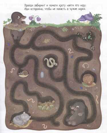 Книжка с наклейками формат А4. Приключения в зеленом лесу. 50 наклеек. \ Барсотти Э., производитель Айрис-пресс , ISBN 978-5-81128-743-7№ 3