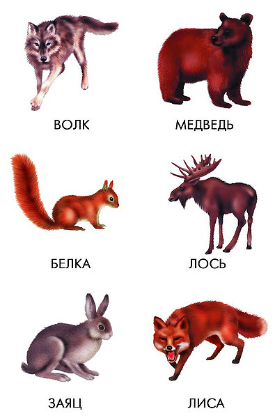 Мир вокруг нас. Познавательная игра-лото, производитель «Весна-Дизайн» (ИП Бурдина С. В.), ISBN 200-0-00000-076-3, № 4