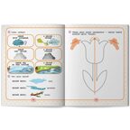 Нейрокомплекс: говорю правильно: 4-5 лет. Подготовка к школе с логопедом, производитель «Феникс-Премьер», ISBN 978-5-22245-241-7, № 4