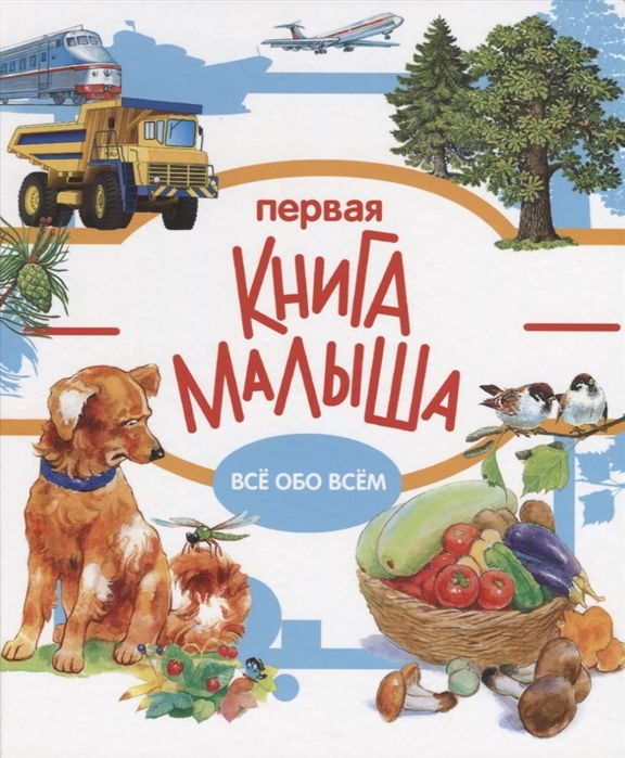 Первая книга малыша. Энциклопедия малыша на картоне, производитель Стрекоза , ISBN 978-5-99513-863-1, № 1