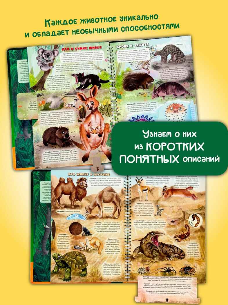 Интерактивная книга в твердом переплете Атлас земли. Животные, арт. 9785907915985, производитель БимБиМон, ISBN 978-5-90791-598-5, № 17