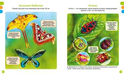 Животные-малютки, производитель Махаон , ISBN 978-5-38927-517-1№ 4