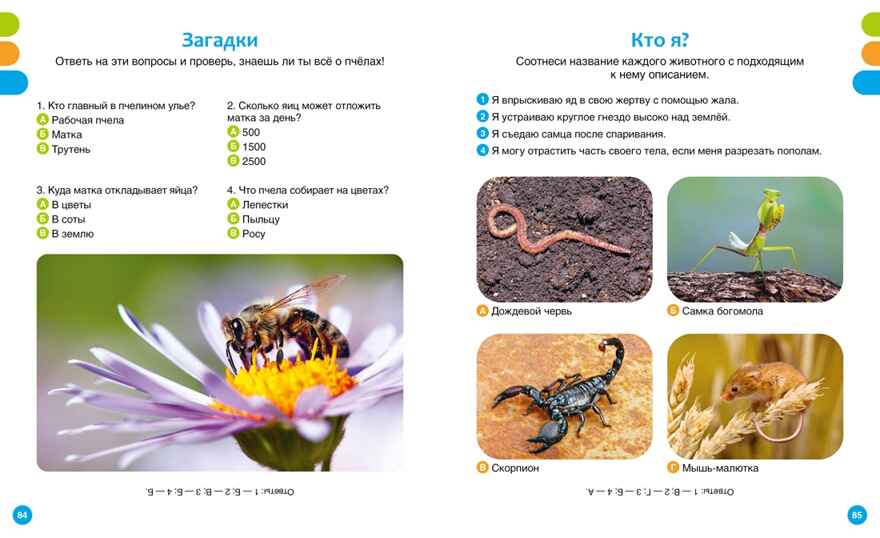 Животные-малютки, производитель Махаон , ISBN 978-5-38927-517-1, № 8