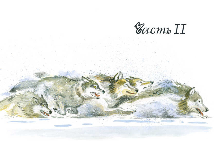 Белый Клык. Лондон Д. Страна приключений, производитель Нигма, ISBN 978-5-43350-476-9, № 4