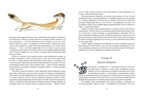 Белый Клык. Лондон Д. Страна приключений, производитель Нигма, ISBN 978-5-43350-476-9, № 6