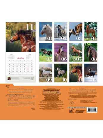 Символ года "Огненная лошадь". Настенный календарь на 2026 год, производитель АСТ , ISBN 978-5-17176-923-9№ 4