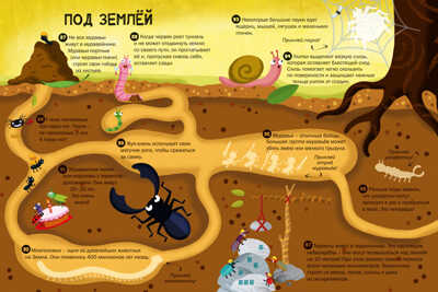 Животные. 100 интерсных фактов, производитель Робинс , ISBN 978-5-43660-550-0№ 6