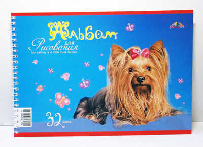 Альбом 32 л. Рыжий щенок, арт.С0680-04, производитель Апплика, ISBN 46600-0-38357-790-4№ 1