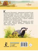 Тёплый хлеб. Сказки и рассказы. Любимые писатели — детям Паустовский К. Г., производитель АСТ , ISBN 978-5-17150-662-9, № 14