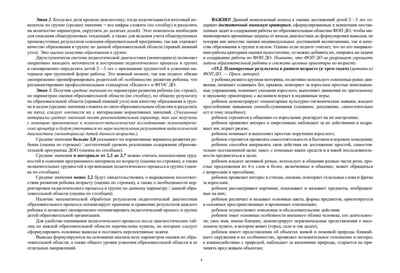 Педагогическая диагностика индивидуального развития детей 2-3 лет в общеобразовательной/комбинированной группе детского сада. ФГОС ДО. ФОП ДО., производитель Детство-Пресс , ISBN 978-5-90785-804-6№ 2