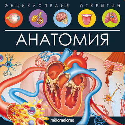 Энциклопедия открытий. Анатомия, производитель Malamalama (Маламалама), ISBN 978-5-00134-794-1