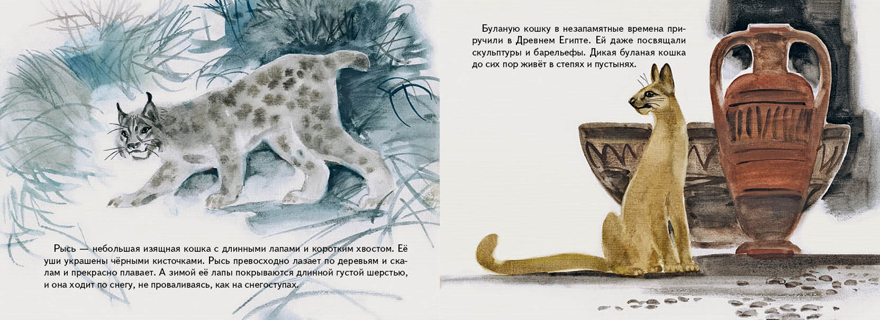 Дикие кошки. Смирнова О. (Серия:Любимая мамина книжка), арт.3422, производитель Речь , ISBN 978-5-92682-205-9, № 2