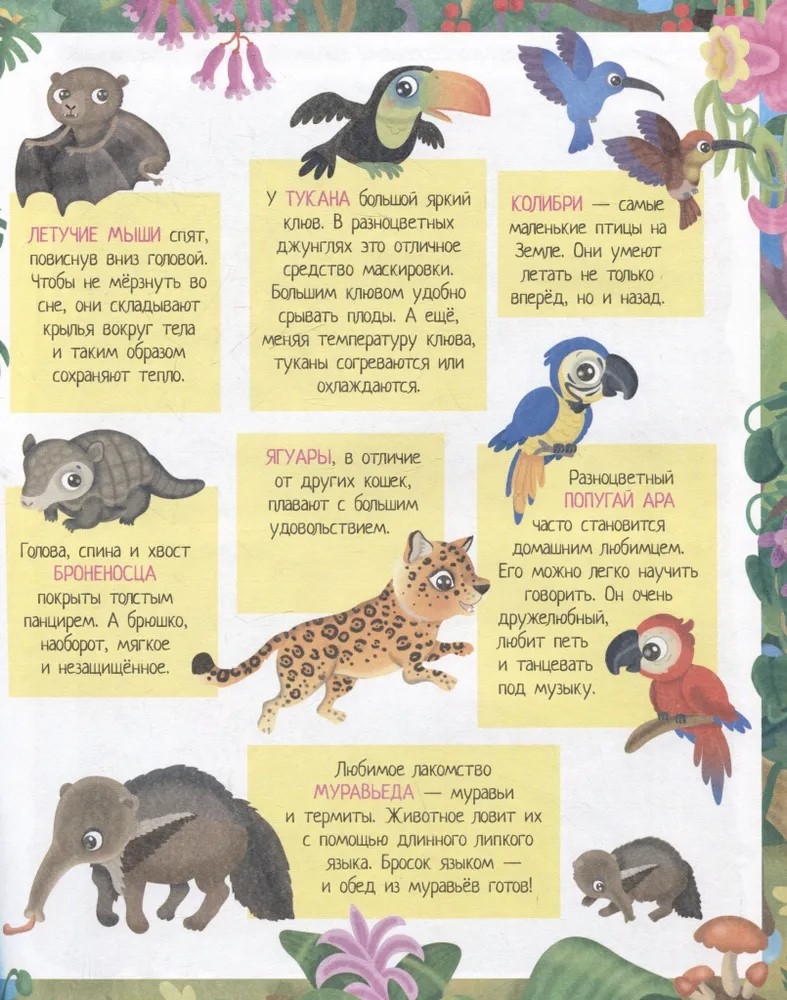 Книжка с наклейками формат А4. Приключения в разноцветных джунглях. 50 наклеек \ Барсотти Э., производитель Айрис-пресс , ISBN 978-5-81128-745-1, № 2