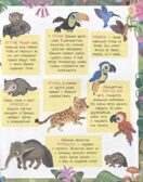 Книжка с наклейками формат А4. Приключения в разноцветных джунглях. 50 наклеек \ Барсотти Э., производитель Айрис-пресс , ISBN 978-5-81128-745-1, № 2