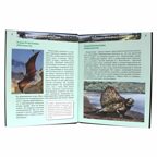 Энциклопедия Вымершие животные, производитель Проф-Пресс , ISBN 978-5-37815-512-5, № 4
