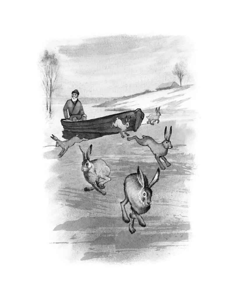 Дедушка Мазай и зайцы. Стихотворения. Поэмы. Некрасов Н., производитель АСТ , ISBN 978-5-17153-138-6, № 3