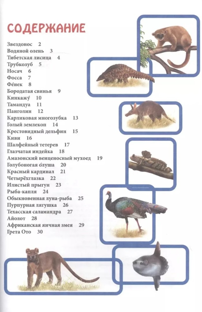 Необычные животные. Энциклопедия. В мире знаний, производитель Проф-Пресс , ISBN 978-5-37829-742-9, № 2