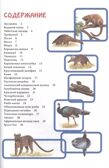 Необычные животные. Энциклопедия. В мире знаний, производитель Проф-Пресс , ISBN 978-5-37829-742-9, № 2