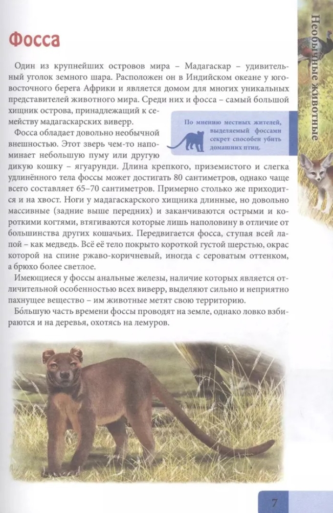 Необычные животные. Энциклопедия. В мире знаний, производитель Проф-Пресс , ISBN 978-5-37829-742-9, № 3